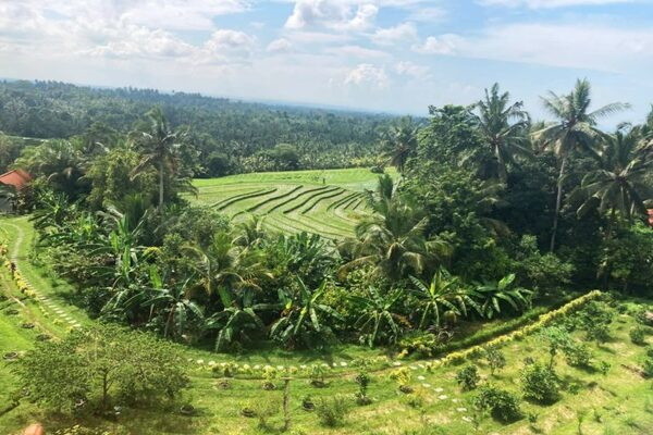 Bali : Circuit Bien-Être à Bali en Privatif