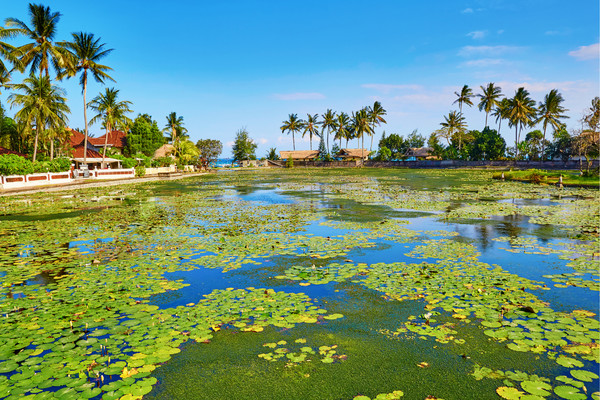 Bali : Circuit Féerie balinaise et plage sauvage de l'Ouest en Privatif