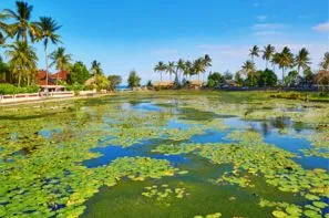 Bali-Denpasar, Circuit Féerie balinaise et plage sauvage de l'Ouest
