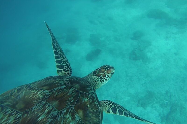 Bali : Circuit L'Indonésie de Bali à Gili Air et Lombok