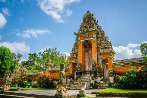 Combiné circuit et hôtel De Ubud aux plages balinaises photo 1
