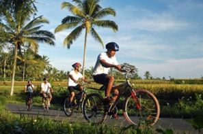 Bali-Denpasar, Combiné circuit et hôtel Bali zen et aventure