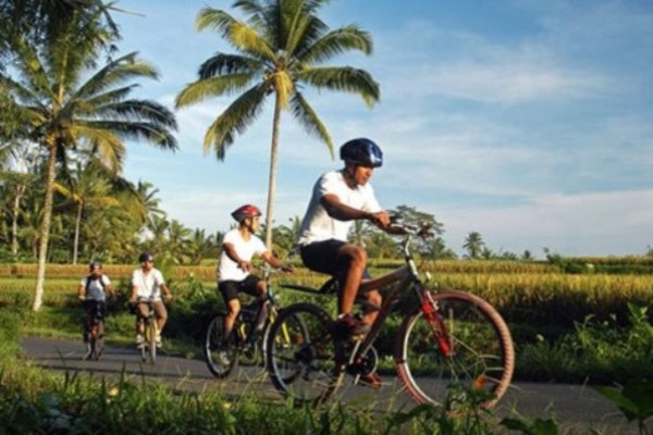 VTT