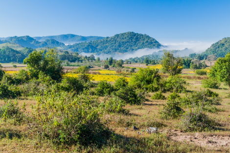 Nature - Circuit Le Meilleur de la Birmanie Rangoon Birmanie