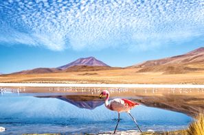 Bolivie-Santa Cruz, Circuit Couleurs de Bolivie et Pérou