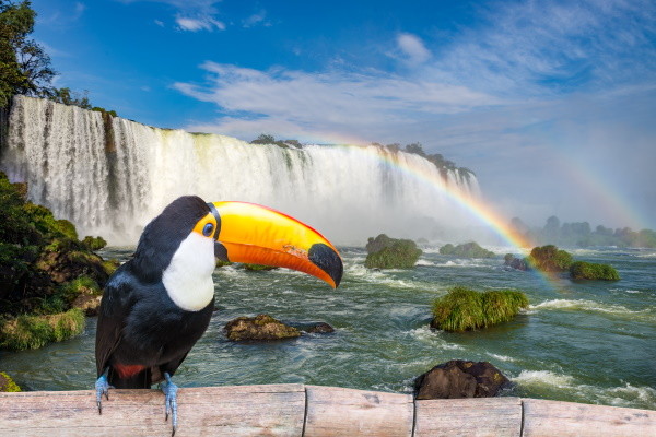 Iguazu