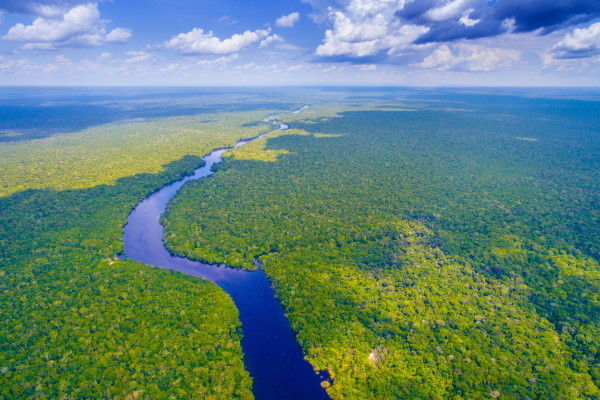 Amazonie