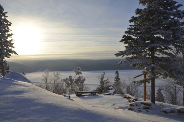 Paysage