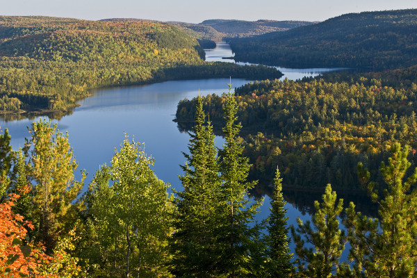 Mauricie