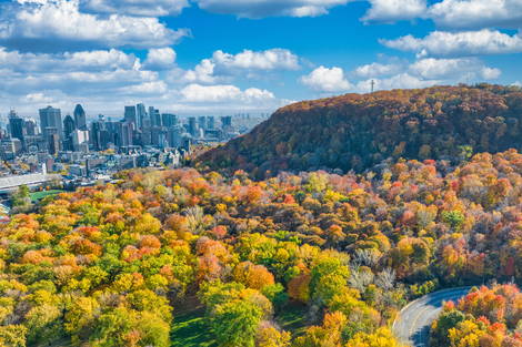 Canada : Circuit Au coeur de l'est canadien enchanteur