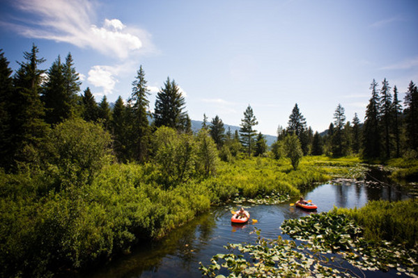 Whistler