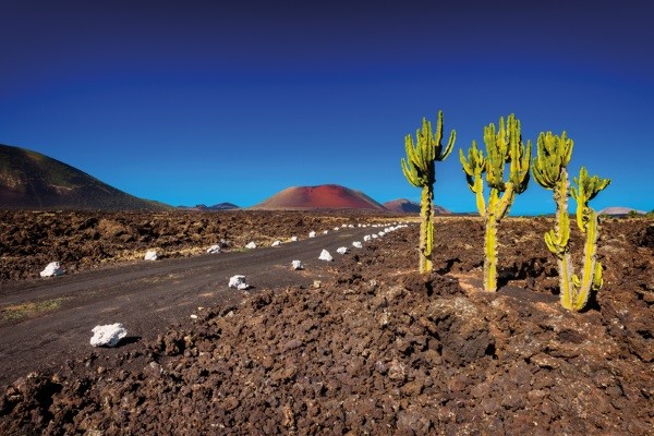Lanzarote - Parc de Timanfaya