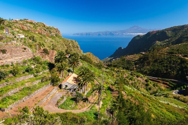 Canaries : Circuit Cap sur les Canaries : Ténérife