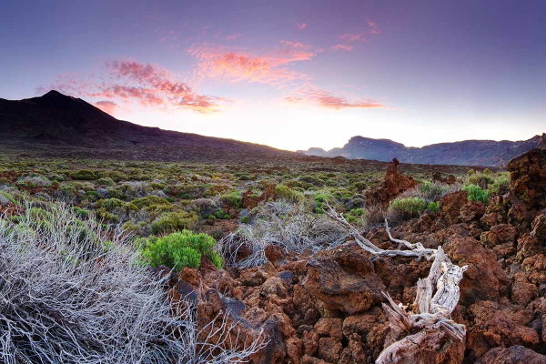 Canaries : Circuit Échappée sentiers de Ténérife depuis l'hôtel Riu Buenavista 4* - Arrivée Ténérife Nord
