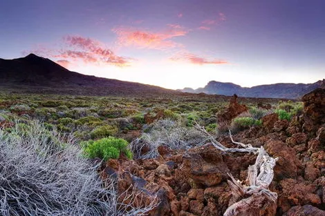 Canaries : Circuit Échappée sentiers de Ténérife depuis l'hôtel Riu Buenavista 4* - Arrivée Ténérife Nord