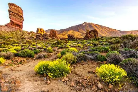 Canaries : Circuit Trésors des Canaries, logement au Checkin Concordia Playa