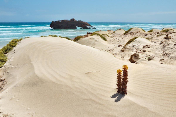 Cap Vert : Circuit Adult Only (+18) - Échappée Capverdienne depuis le Riu Karamboa