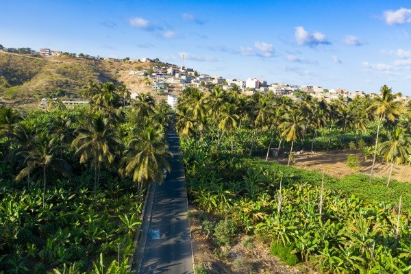 Paysage