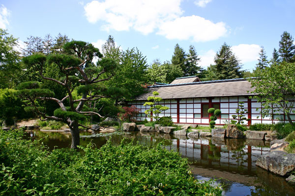 Jardin bonsais