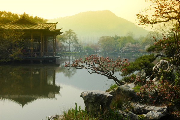 Chine