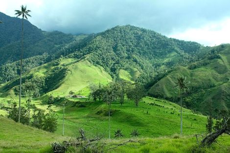 Nature - Circuit Colombie à l'essentiel & Extension Carthagène Bogota Colombie
