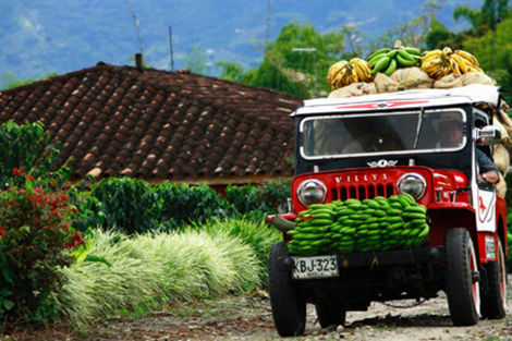 Nature - Circuit Premiers regards de Colombie & Santa Marta Bogota Colombie