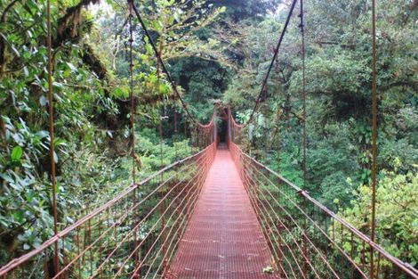 Circuit Costa Rica, où la nature prend vie