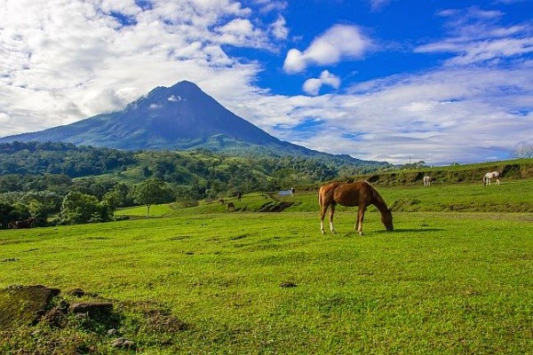 Costa Rica - Costa Rica sauvage, immersion en petit groupe