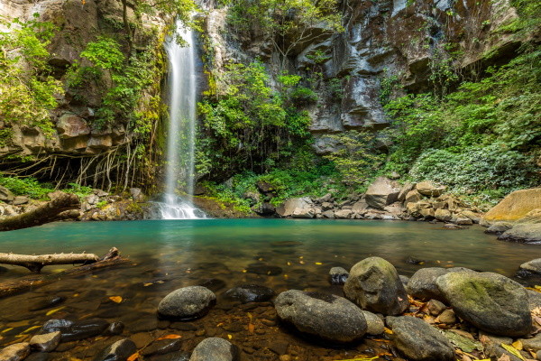 Costa Rica : Circuit Cap sur le Costa Rica et Tortuguero 2027