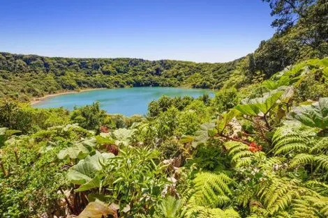 Costa Rica : Circuit Costa Rica, où la nature prend vie - 25 personnes maximum