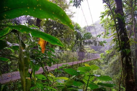 Circuit CIRCUIT DECOUVERTE DU COSTA RICA - EXTENSION SEJOUR BALNEAIRE SUR LA COTE PACIFIQUE Costa Rica San jose