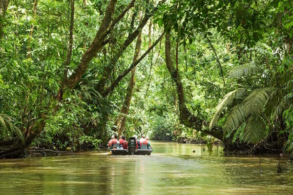 Costa Rica : Circuit Découverte du Costa Rica - Parc naturel Rincon de la Vieja et plage de Tamarindo