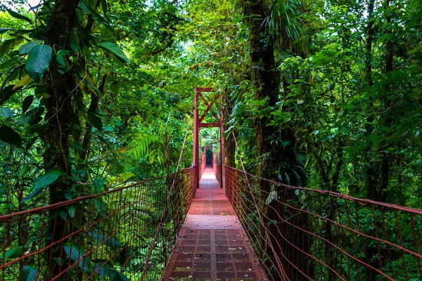 Costa Rica : Circuit Découverte du Costa Rica