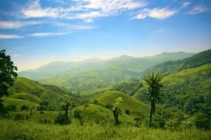 Costa Rica-San jose, Circuit Jungles et forêts