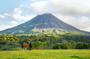 Costa Rica-San jose, Circuit Tribus et faune mythique du Costa Rica
