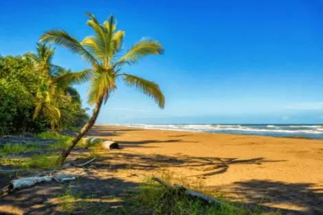 Costa Rica : Circuit Le Costa Rica en Liberté, entre Faune Sauvage et Mangroves