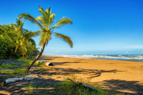 Costa Rica : Circuit Le Costa Rica en Liberté