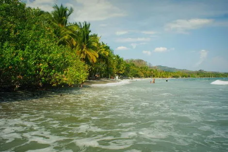 Circuit CIRCUIT SAFARI AU PAYS DE L'OR NOIR ET PLAGE DE SAMARA 3* Costa Rica San jose