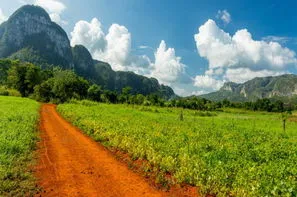 Cuba-La Havane, Circuit Circuit au Charme Cubain & Extension Melia Peninsula