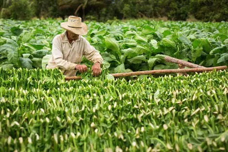 Cuba : Circuit Trésors Cubains en privatif