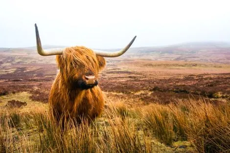 Circuit Splendeurs de l’Ecosse photo 1