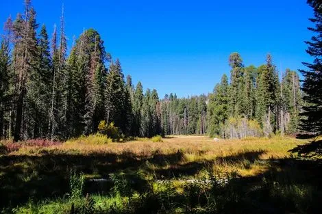 Etats-Unis : Circuit Splendeurs de l'Ouest des USA, Côte Pacifique & New York - 2026