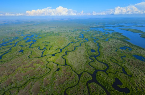 Nature - L'essentiel de la Floride et croisière Bahamas 3* Miami Etats-Unis