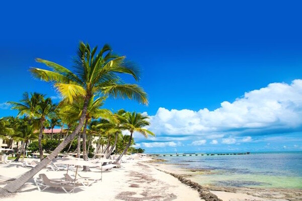 Etats-Unis : Circuit Pré-Voyage New-York & Splendeurs de Floride