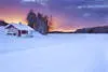 Nature - Circuit Charme hivernal de Laponie Ivalo Finlande