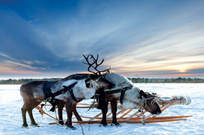 Finlande-Ivalo, Circuit Charme hivernal de Laponie