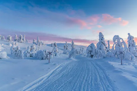 Nature - Circuit Essentiel De Laponie - De Kittilä à Kittilä Kittila Finlande