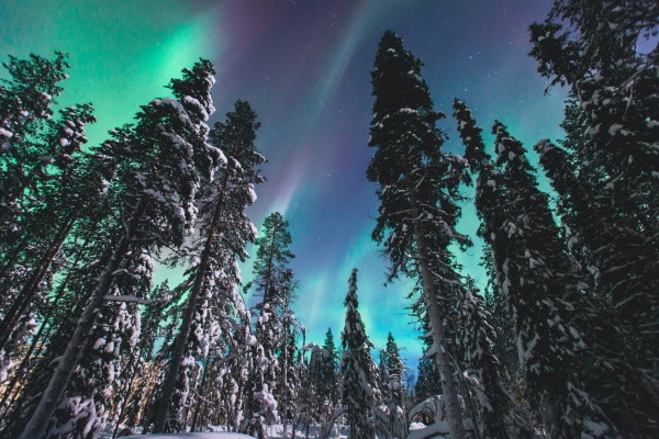 Finlande : Combiné hôtels Séjour multi activités à Suomu - hôtel Suomutunturi