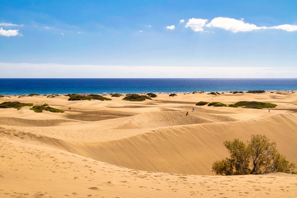 Grande Canarie : Circuit Beautés sauvages de Grande Canarie