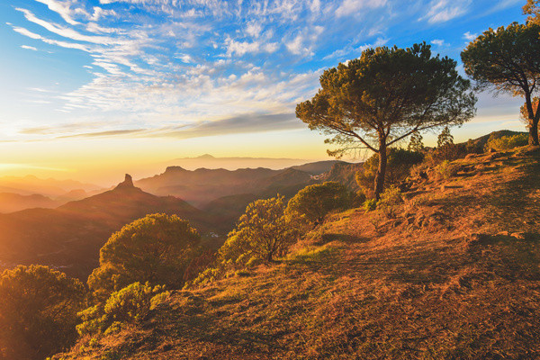 Grande Canarie : Circuit Charmes et nature de Grande Canarie